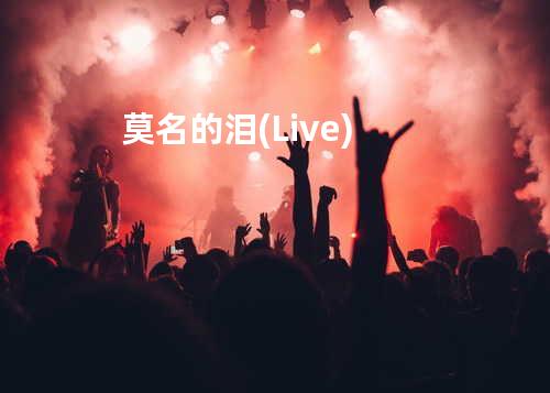 莫名的泪(Live)