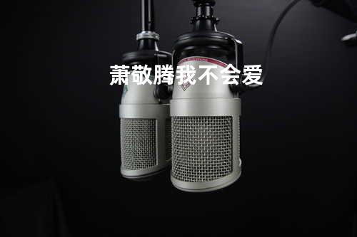 萧敬腾 - 我不会爱