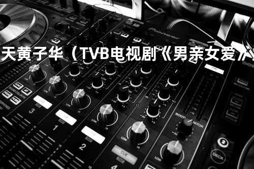 蓝天 - 黄子华(TVB电视剧《男亲女爱》主题曲)