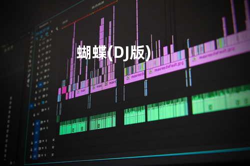 蝴蝶 (DJ版)
