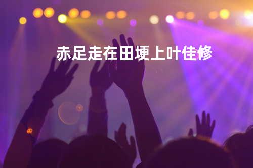 赤足走在田埂上 - 叶佳修