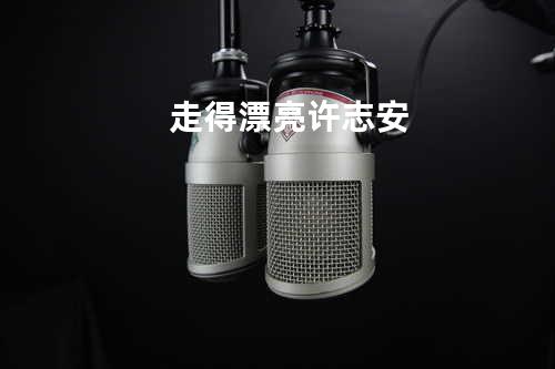 走得漂亮 - 许志安