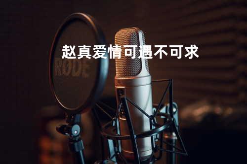 赵真-爱情可遇不可求