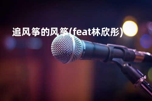 追风筝的风筝 (feat. 林欣彤)