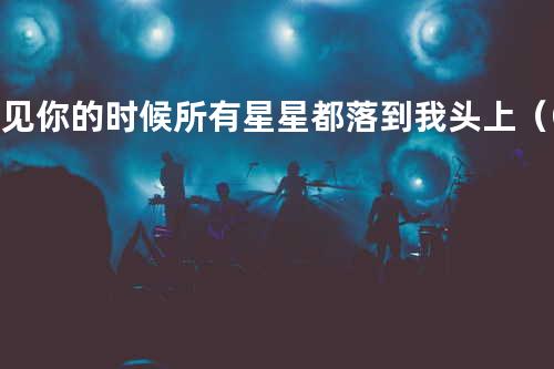 遇见你的时候所有星星都落到我头上(Cover 高姗)