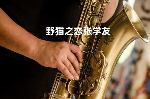 野猫之恋-张学友