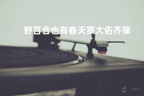 野百合也有春天 - 罗大佑/齐豫