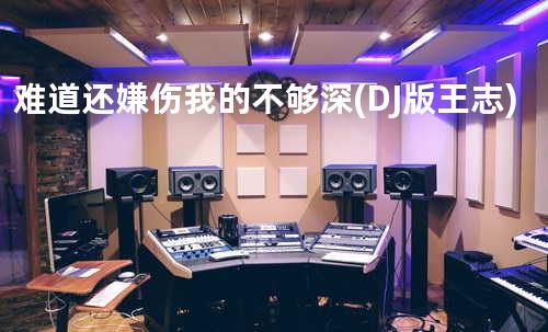 难道还嫌伤我的不够深 (DJ版-王志)