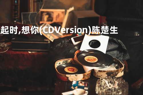 风起时, 想你(CD Version) - 陈楚生
