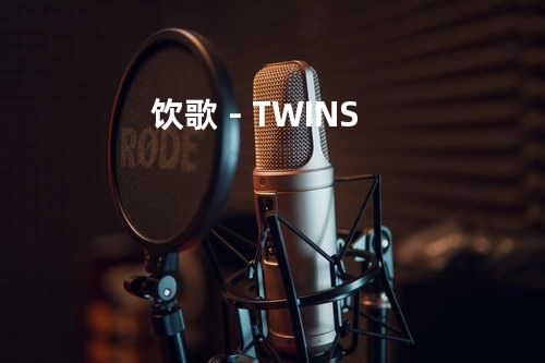饮歌 - TWINS