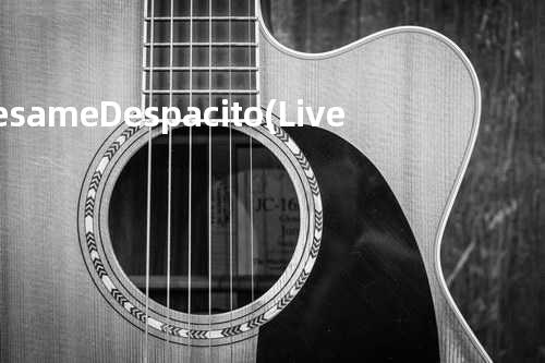 Besame Despacito (Live)