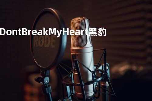 Don t Break My Heart 黑豹