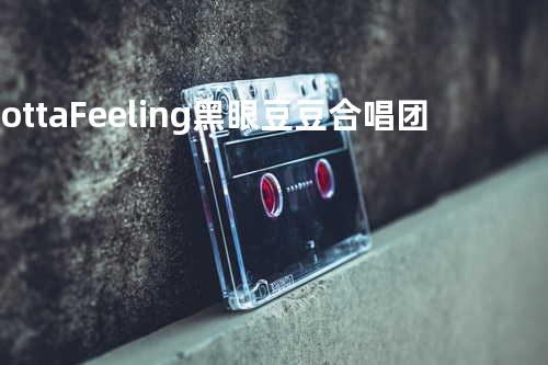 I Gotta Feeling - 黑眼豆豆合唱团