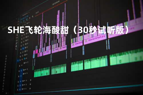 S.H.E&飞轮海 - 酸甜(30秒试听版)