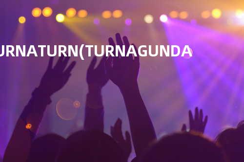 TURN A TURN(TURN A GUNDAM)