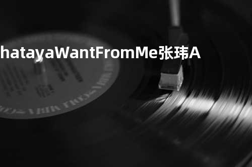 Whataya Want From Me - 张玮&Adam Lambert